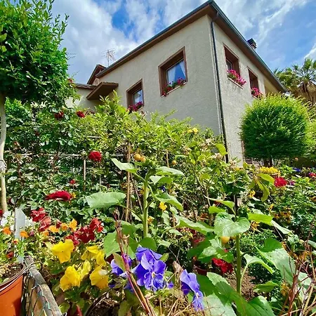 Gerani Rossi فندق مبيت وإفطار Villa San Pietro